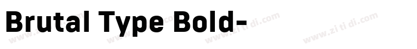 Brutal Type Bold字体转换